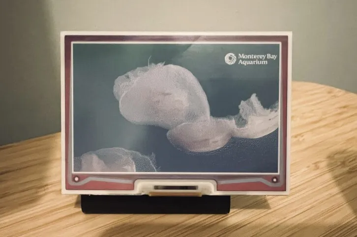 Inky Impression 4" displaying a frame from a jellyfish cam